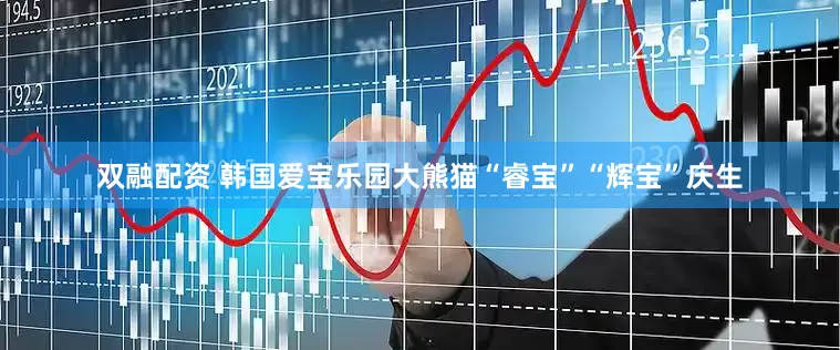 双融配资 韩国爱宝乐园大熊猫“睿宝”“辉宝”庆生