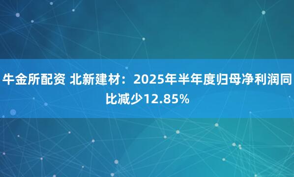 牛金所配资 北新建材：2025年半年度归母净利润同比减少12.85%