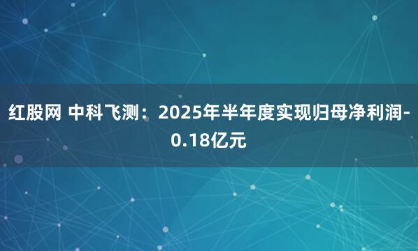 红股网 中科飞测：2025年半年度实现归母净利润-0.18亿元