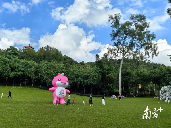 贝格富 赏，南国深秋大片，迎，十五运会盛事｜南方+拍客看广东
