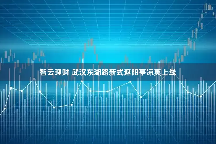 智云理财 武汉东湖路新式遮阳亭凉爽上线